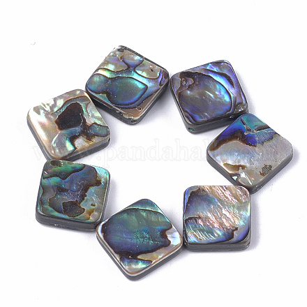 Abalone shell / paua shell beads SSHEL-T008-15-1