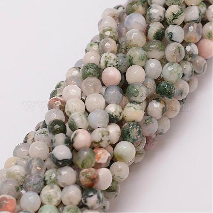 Chapelets de perle en agate d'arbre naturelle G-G882-6mm-E02-1