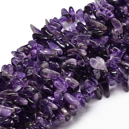 Natural Amethyst Chip Beads Strands G-E271-11-1