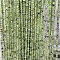 Natural Prehnite Beads Strands, Round, Faceted, 2.5mm, Hole: 0.7mm, about 172pcs/strand, 15.35''(39cm)