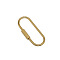 Brass Screw Carabiner Lock Charms, Oval, Raw(Unplated), 60x24x3mm
