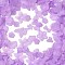 Frosted Transparent Acrylic Beads, Mixed Shapes, Orchid, 7~30x9~40x4~11mm, Hole: 1~2mm