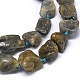 Chapelets de perles en labradorite naturelle  G-O173-057-3
