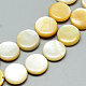 Natürlichen Muschel Perlen Stränge SSHEL-Q301-06-2