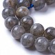 Natural Labradorite Beads Strands G-F627-10-D-3