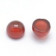 Natural Carnelian Cabochons G-P393-R03-8MM-2