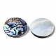 Cabochon di conchiglia abalone naturale / paua shell SSHEL-N034-85-3