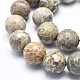Fossiles naturelle perles de corail brins G-K256-11-20mm-3