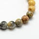 Round Natural Crazy Agate Beads Strands G-P058B-01-2
