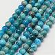 Natural Apatite Beads Strands G-D856-01-5mm-1