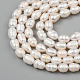 Oval Natural Cultured Freshwater Pearl Beads Strands X-PEAR-R015-45-5