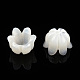 Cappucci di perline di conchiglia bianca naturale SSHEL-N032-58A-3