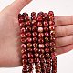 2 brins 2 couleurs imitation naturelle agate rouge du sud et brins de perles d'agate de la forêt tropicale G-SZ0001-46-5