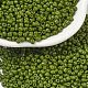 Выпечка краска стеклянные бусины&nbsp;SEED-S001-K9-1