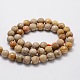 Faceted Round Natural Fossil Coral Bead Strands G-L437-03-10mm-2