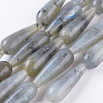 Chapelets de perles en labradorite naturelle , larme, 28.5~30x10~10.5mm, Trou: 1.8mm, Environ 13 pcs/chapelet, 15.1 pouce (38.5 cm)