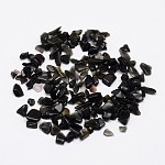 Natürliche schwarze Stein-Chip-Perlen, kein Loch / ungekratzt, 2~8x3~5 mm