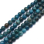 Chapelets de perles en apatite naturelle, ronde, 6mm, Trou: 1mm, Environ 64 pcs/chapelet, 15.7 pouce (40 cm)