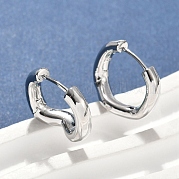 Латунные серьги обруча EJEW-D320-12P