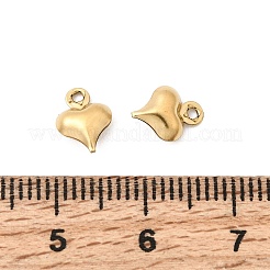Colgantes de acero inoxidable 304&nbsp;STAS-G389-02G-06