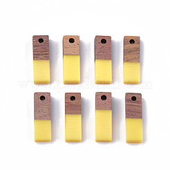Pendentifs en résine & en bois&nbsp;X-RESI-S358-19-M