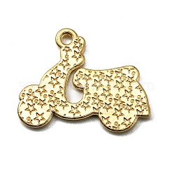 Кулон эмали сплава&nbsp;LS-FIND-CJC0003-59G