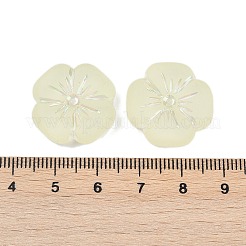 Perles en acrylique transparent mat&nbsp;X1-OACR-P029-19B-03