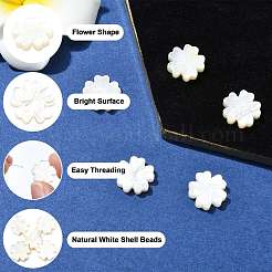 5шт натуральные белые бусины из ракушек&nbsp;BSHE-CJ0001-11