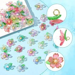 70шт прозрачные акриловые подвески&nbsp;PALLOY-FS00050