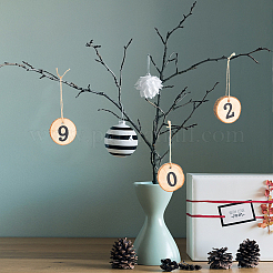 Подвесные украшения из натурального дерева&nbsp;HJEW-WH0021-12