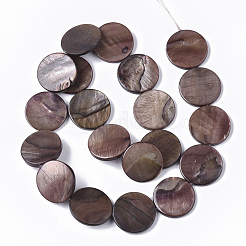 Süßwasser-Muschelperlen Stränge&nbsp;SHEL-T014-011