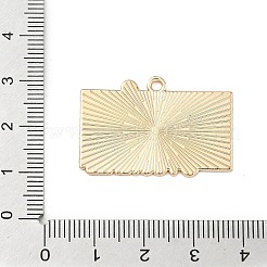 Подвески из спортивного сплава с эмалью&nbsp;ENAM-I074-01G-06