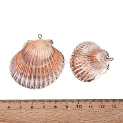 Grandi ciondoli in conchiglia di capasanta naturale galvanizzata&nbsp;SSHEL-Q100-19KCG