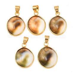 Pendentifs en coquillage naturel pavé de laiton&nbsp;KK-H002-01G