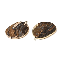 Природных тигровый глаз подвески&nbsp;G-E526-09H