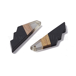 Gros pendentifs en résine opaque et bois de noyer&nbsp;RESI-M027-09E