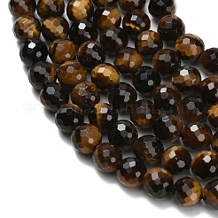 Природных тигровый глаз бисер нитей&nbsp;G-L642-F01-6mm