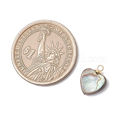 Натуральные подвески из ракушек пауа&nbsp;PALLOY-JF05129-03