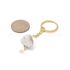 Schlüsselanhänger aus Acryl in Muschelform&nbsp;KEYC-JKC00488
