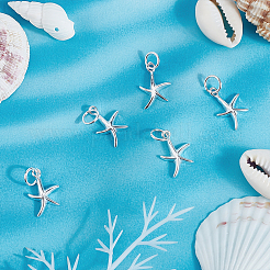 5 шт. 925 подвески из стерлингового серебра&nbsp;STER-BBC0001-20