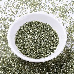 Miyuki Delica Perlen&nbsp;SEED-X0054-DB2163