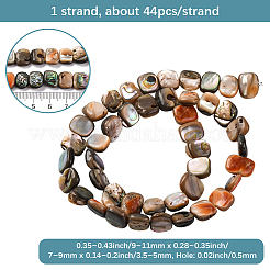 1 hebra de cuentas de concha de paua natural&nbsp;BSHE-PA0001-07