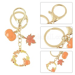 Брелки из сплава эмали&nbsp;KEYC-FS00042-02