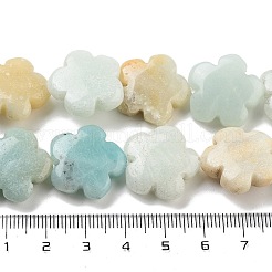 Натуральный цветок амазонитовые бусины пряди&nbsp;G-F769-F01-02