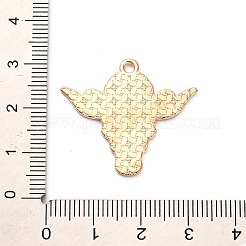 Подвески из сплава и эмали в стиле вестерн-ковбоев&nbsp;FIND-V001-04G-03