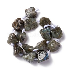 Perline labradorite naturale fili&nbsp;G-B024-12