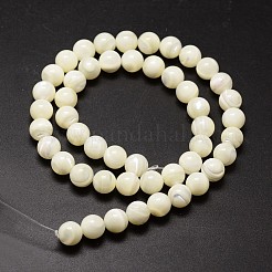 Muschelperlen Stränge&nbsp;SSHEL-E571-39-3mm