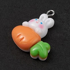 Pendenti in resina opaca&nbsp;LS-RESI-D064-02P-09