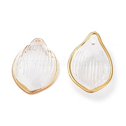 Прозрачные акриловые подвески&nbsp;X-TACR-D013-01