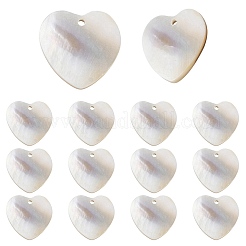 20 шт. подвески-ракушки из натуральной черной губной помады&nbsp;BSHE-SC0001-26